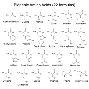 aminosan2